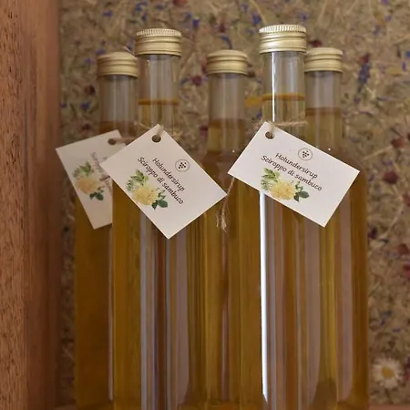 Pignathof Castanea Apartment Campodazzo